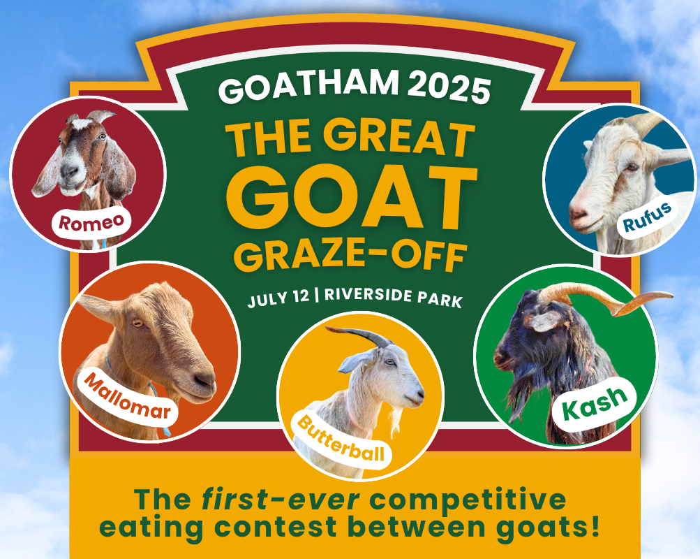 Green Goats, Rhinebeck | Green Goats, Rhinebeck